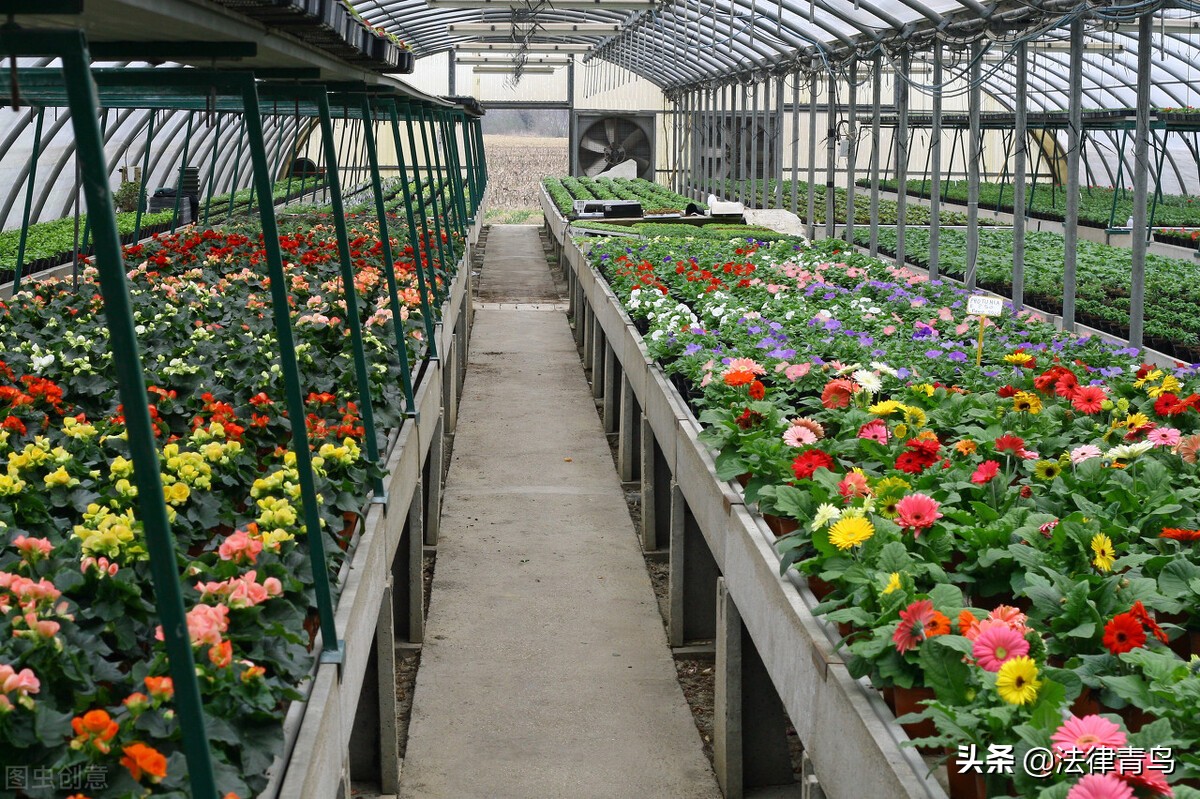 案例解读：农民专业合作社未经村民同意能否直接将其列为成员？