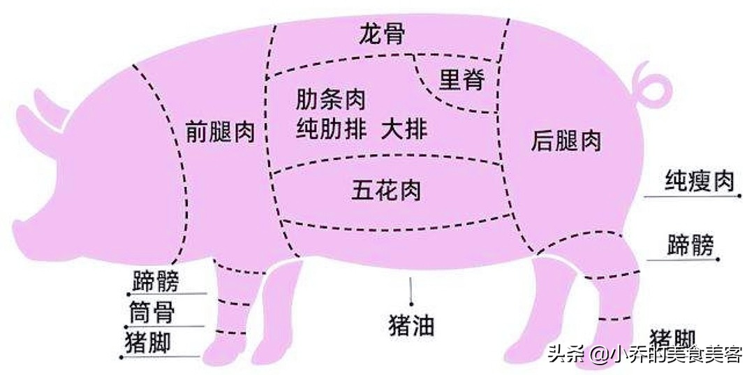 猪肉部位名称及图片（猪肉部位名称及图片二刀肉）-第4张图片-昕阳网