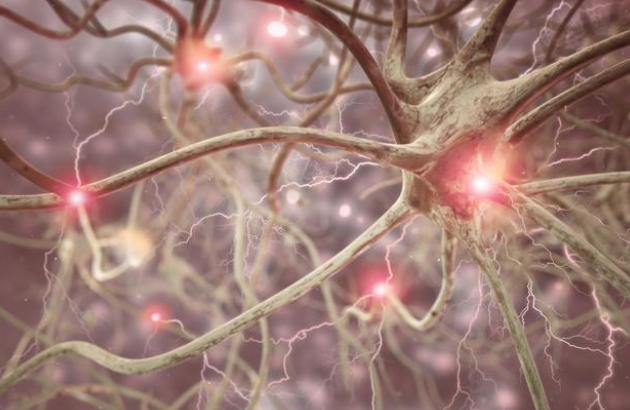 移动端搜索优化小妙招！移动端排名核心要素