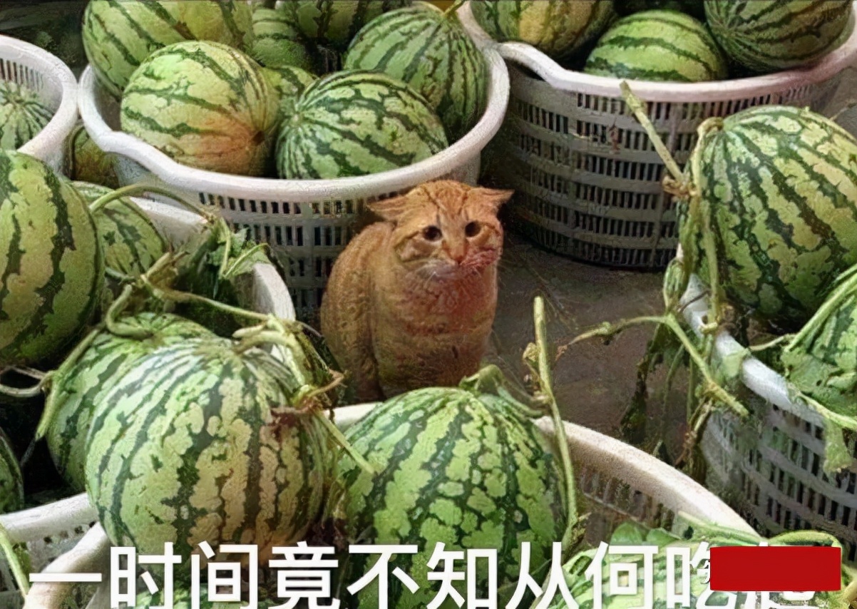 高考前可以逆袭多少分？