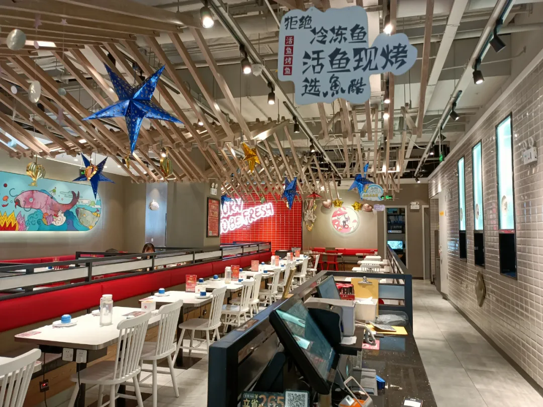 鱼酷公司怎么样