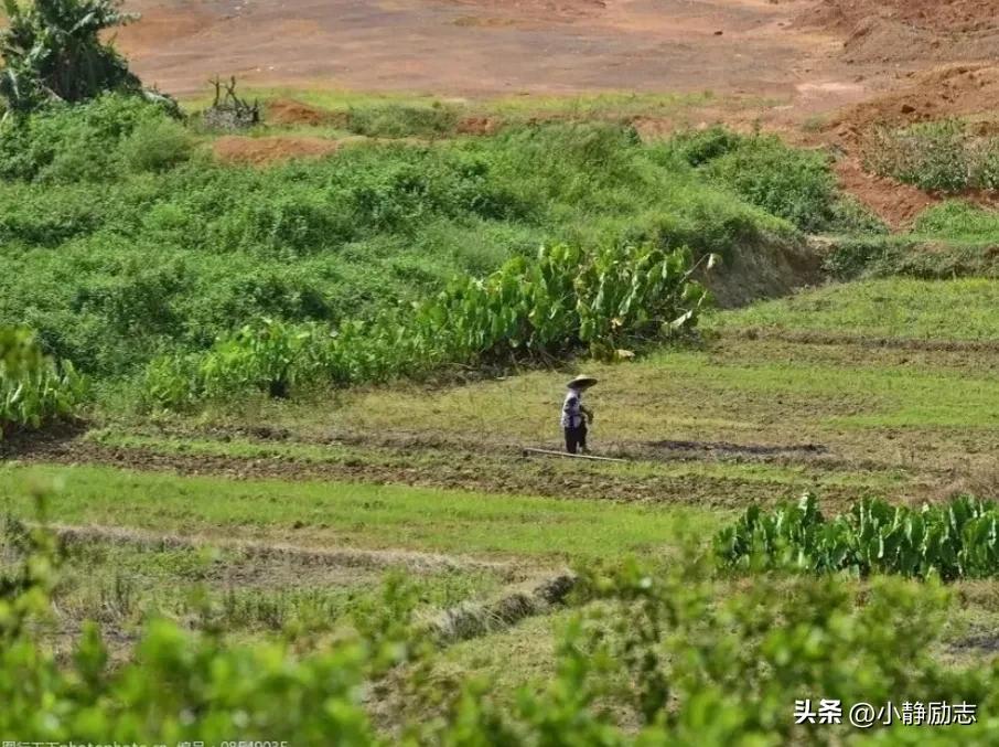 三农是什么（什么是三农，三农产品包括哪些？国家为什么大力扶持？）