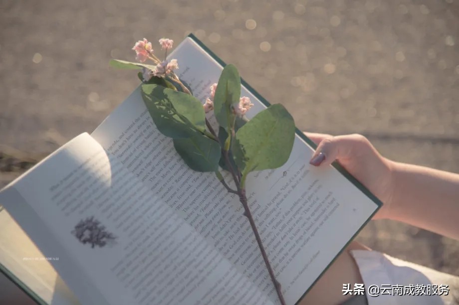 云南省成人高考专升本能考教师吗？