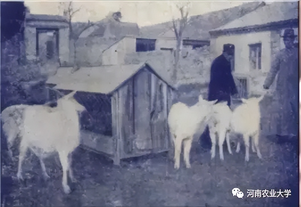 1945——1949，农学院师生们的“南征北战”