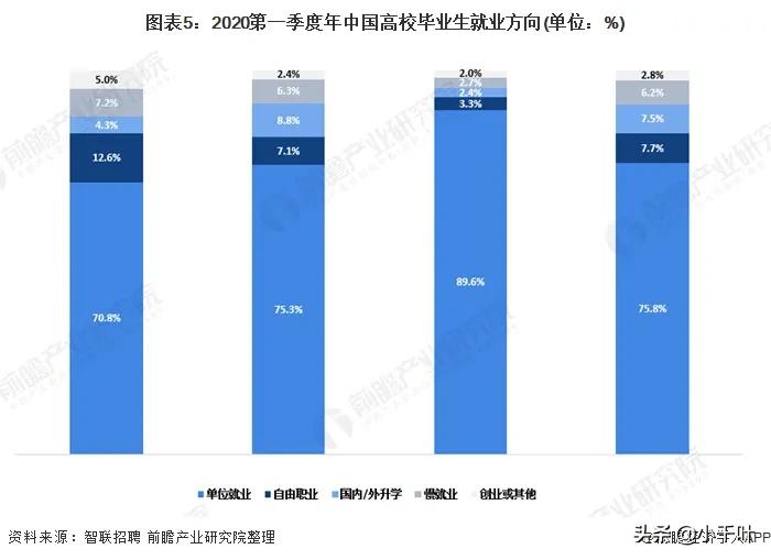当代中国大学生就业市场现状与竞争格局分析
