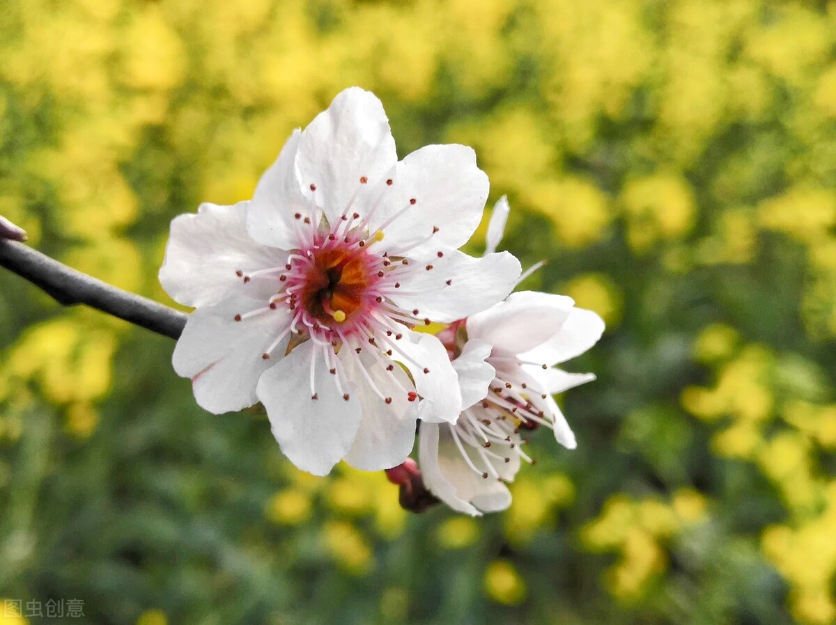 最厲害的三個星座 天天看點