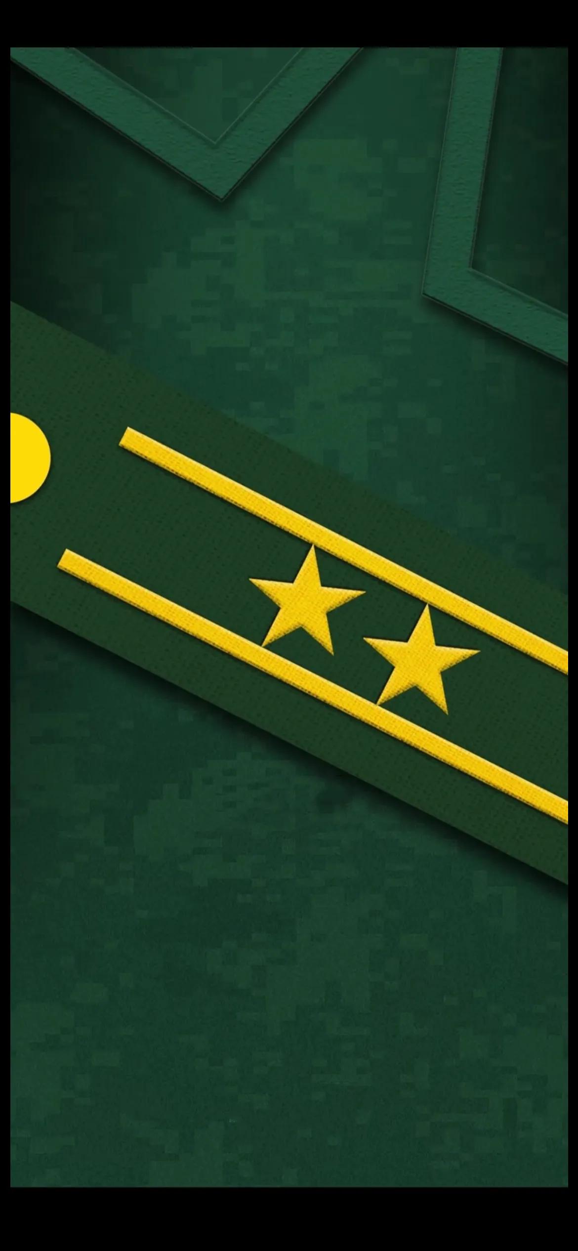 要高清的谢谢大家(手机壁纸|人民武警军衔等级肩章系列全套手机壁纸)