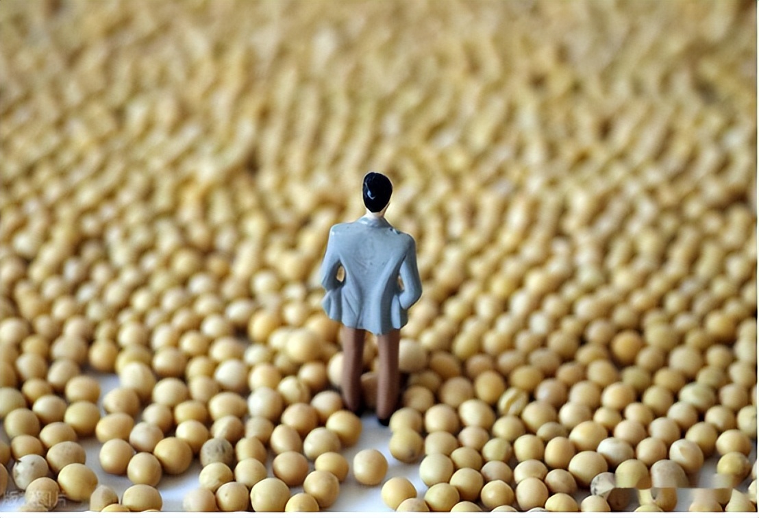 中国连抛1001亿美债后，开始大规模买进美大豆，外媒：或采购更多