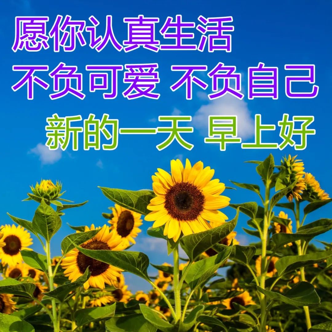 2022.04.23早安心语，唯美正能量努力奋斗句子，愿你每天开开心心