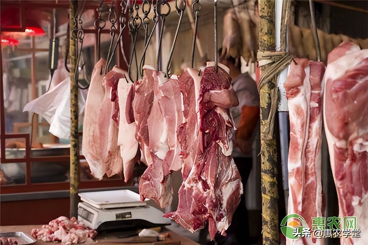2023年猪肉行情价格及未来行情分析