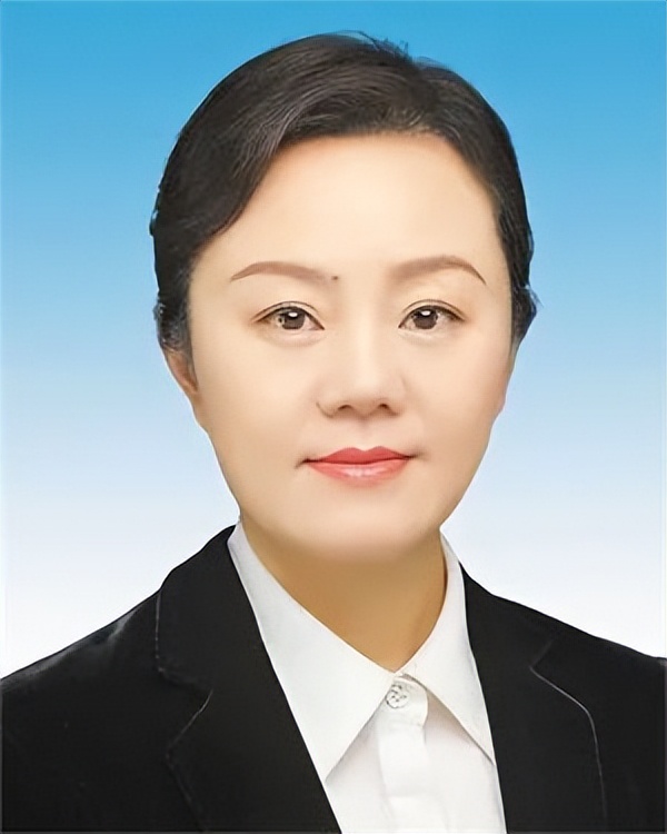 陳敏爾當選重慶市委書記，4人新晉常委｜王林虎，新職明確