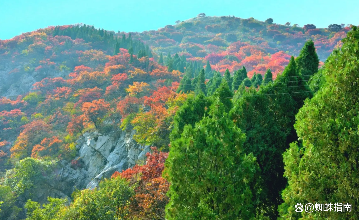 红叶柿岩景区位于淄博市博山区域城镇和尚房村6号,这是博山的网红打卡