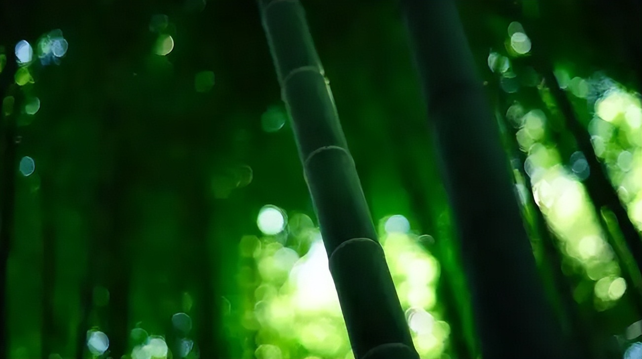 十二首古人描写夏夜的诗词，看古人如何仰望星空，触笔成荫