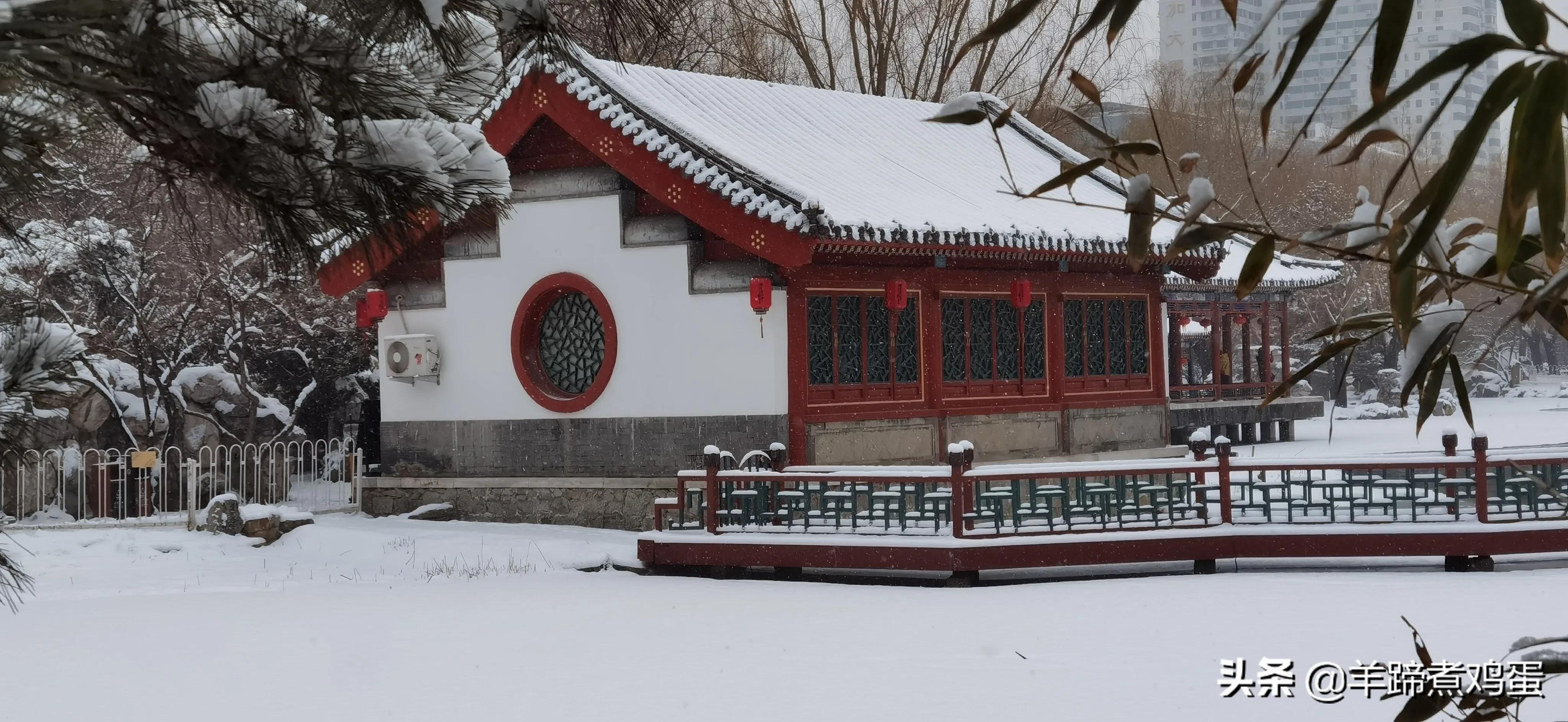 难览观园全画景雪覆腊梅一隅香——踏雪寻游北京大观园