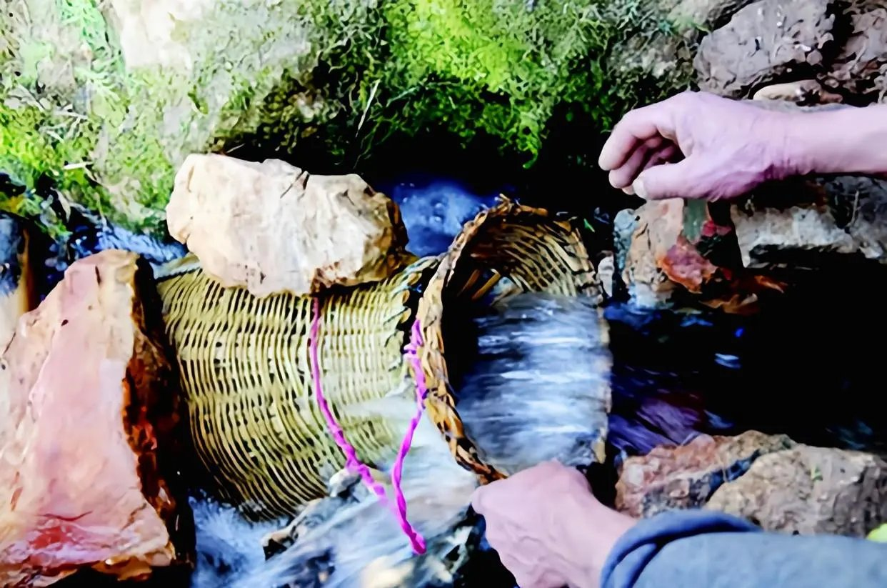 ����Ƥ�Ҵ壺������ɽ����100���꣬ר�ң����㲻�ܳ�