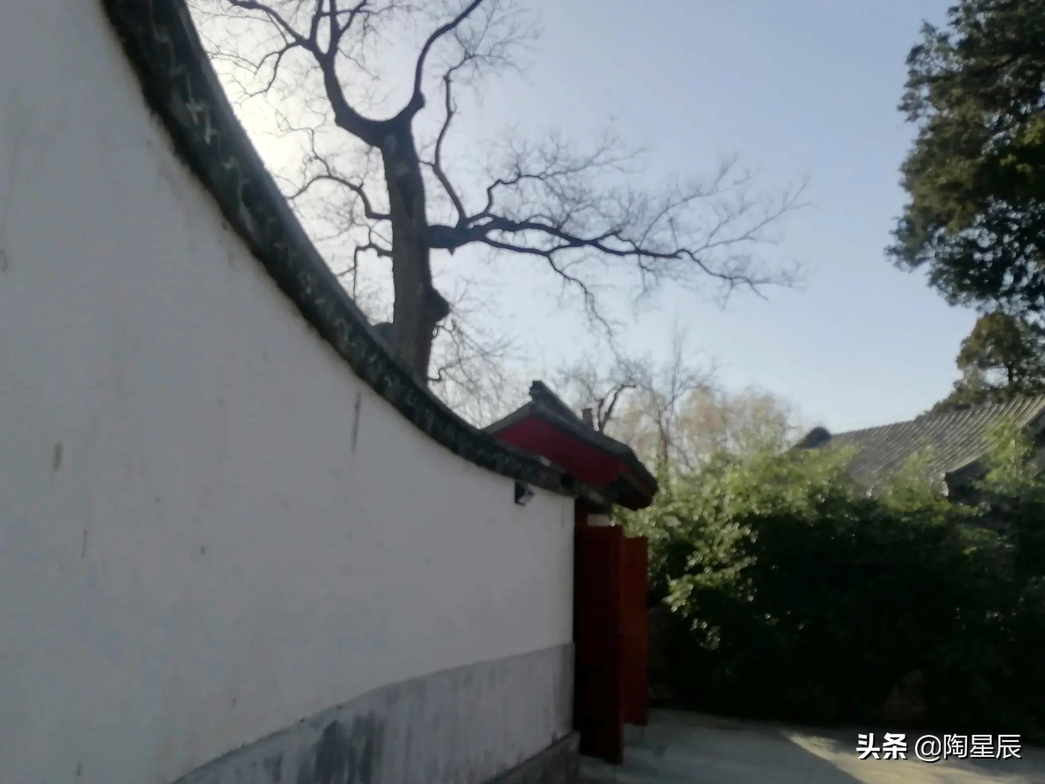 北海公园景点大全（北海公园北岸的景点）