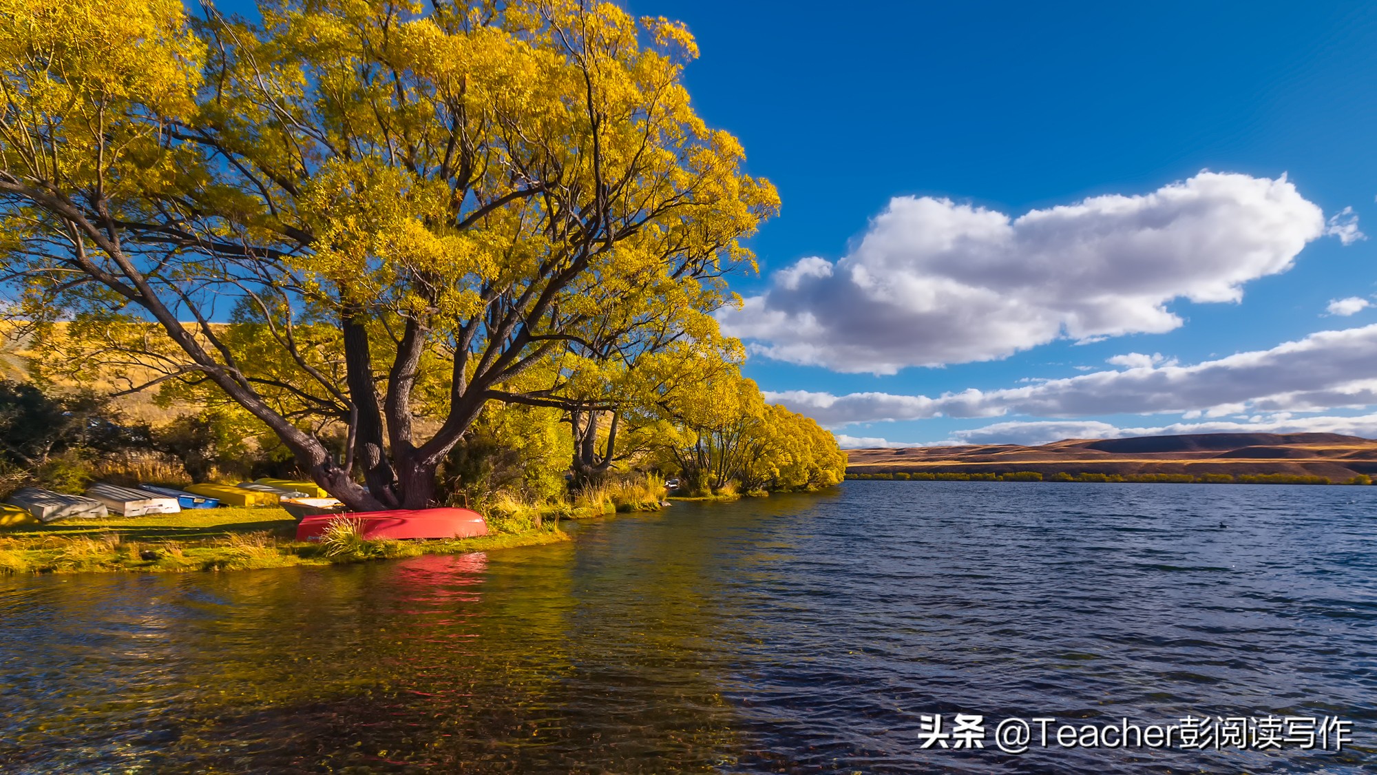 敬爱的老师，您如春风化雨，润物无声，用知识点亮我们前行的路。