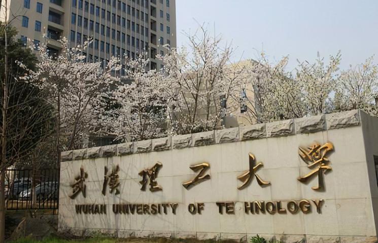 武汉最好的十所大学（武汉最好的十所大学排名一览表）-第5张图片