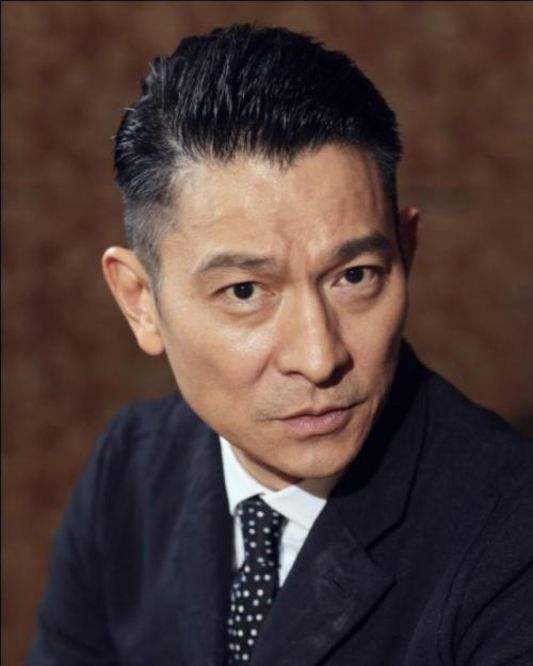 刘德华曾被索赔1亿！连续两年深陷抄袭门，被告上法庭未结案