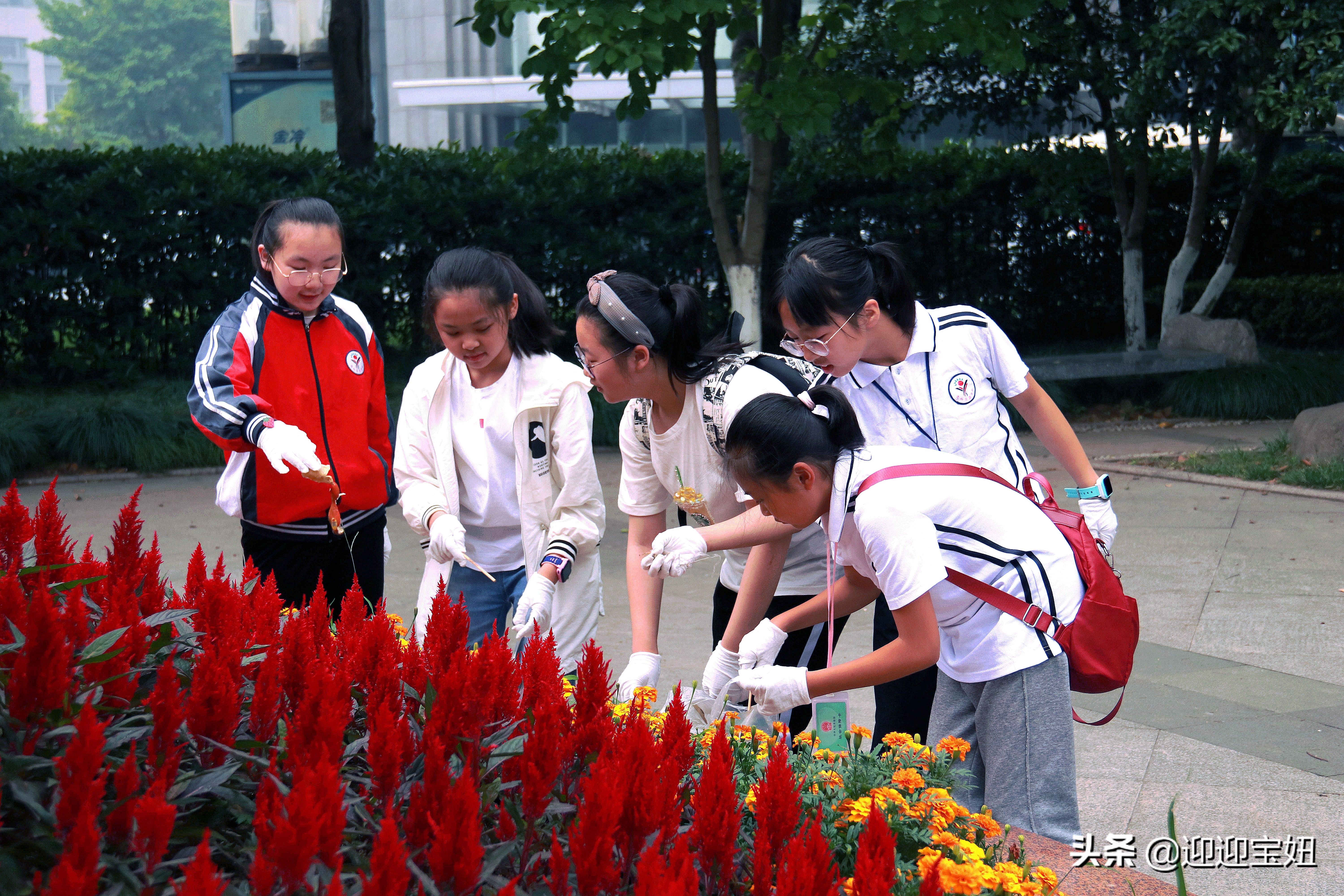 社会实践在孩子成长中的重要性-志愿精神你、我、他