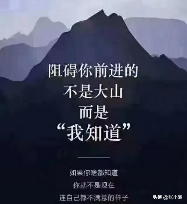 币圈k线图中的三条线分别代表什么（币圈的三条线各代表什么）-第1张图片-科灵网