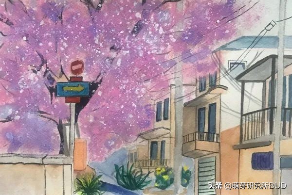 适合孩子参加的国家级比赛，我把准备攻略都整理好了（深度分析）