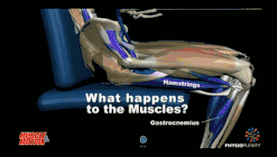 肚子大？这6个原因你应该知道！该如何减肥，都给你列出来了