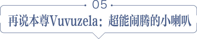 南非世界杯海报制作(盛事之光与喧嚣之名，也遮蔽不了一颗温柔珊瑚心)