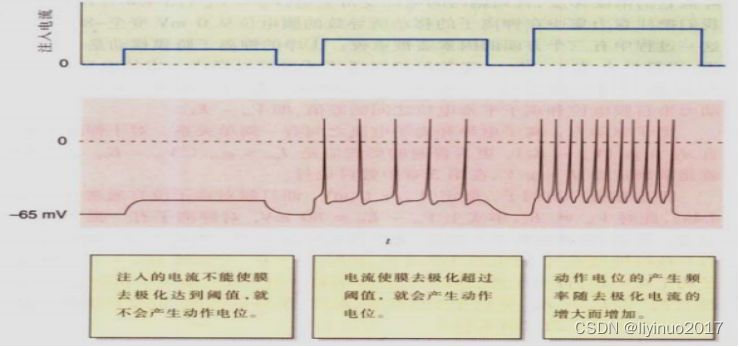 人脑是一台计算机吗？