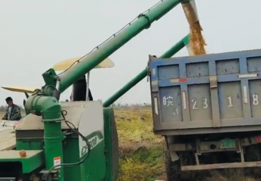 常發(fā)CF608履帶半喂入聯(lián)合收割機(jī)性能與參數(shù)