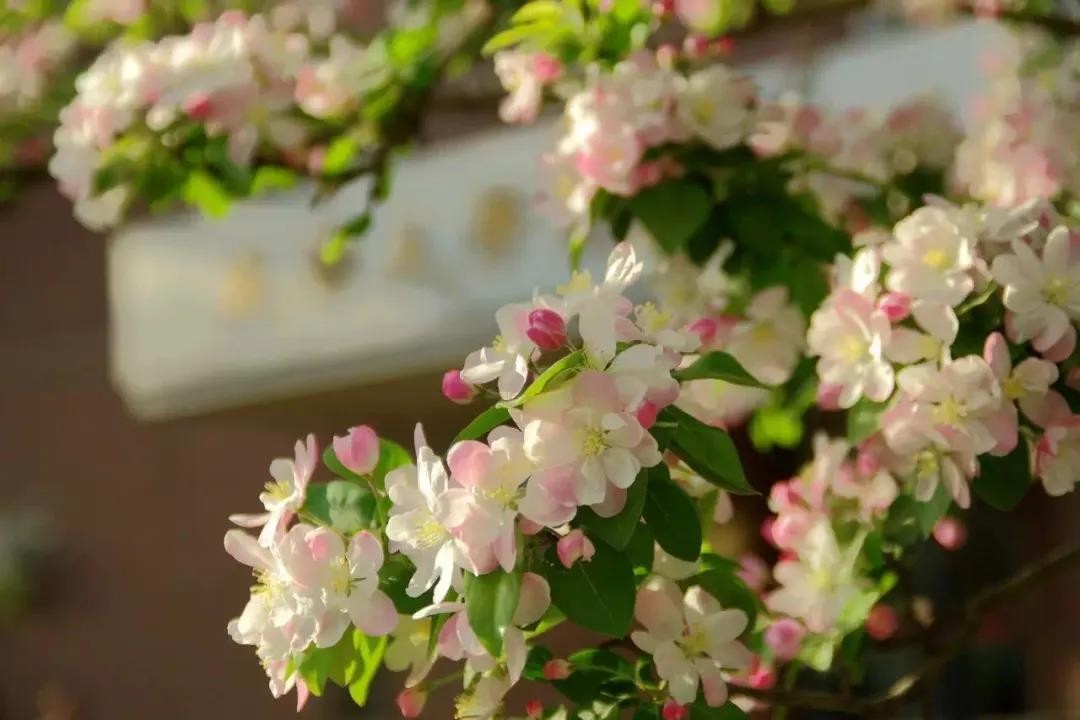 央媒盛赞！这所985到底有多浪漫？上天入海，追星揽月！网友：浪漫到骨子里！