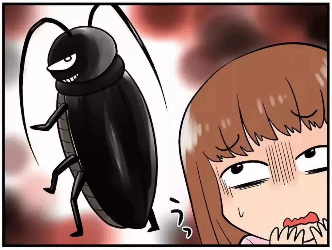 蟑螂为什么被称为"打不死的小强"