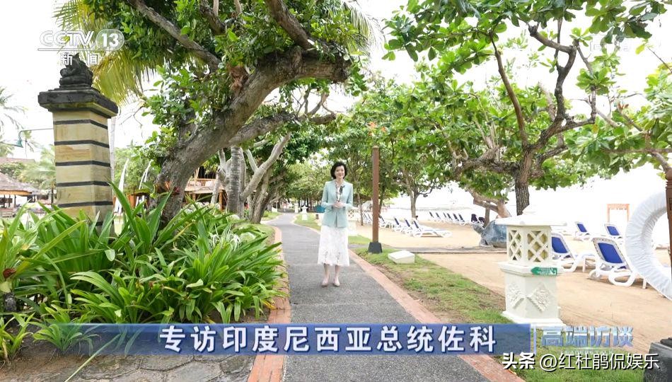 cctv13共同关注直播(央视新闻时隔6年上新节目，有深度有广度有热度，首发主持人好评)