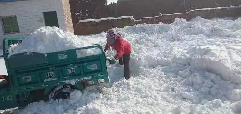 扫雪护行 情暖人心 | 白银市各级妇联组织开展扫雪除冰志愿服务活动