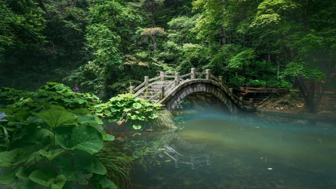 带给人最美享受的12首诗，每首都语言优美、诗意盎然，无一字可换