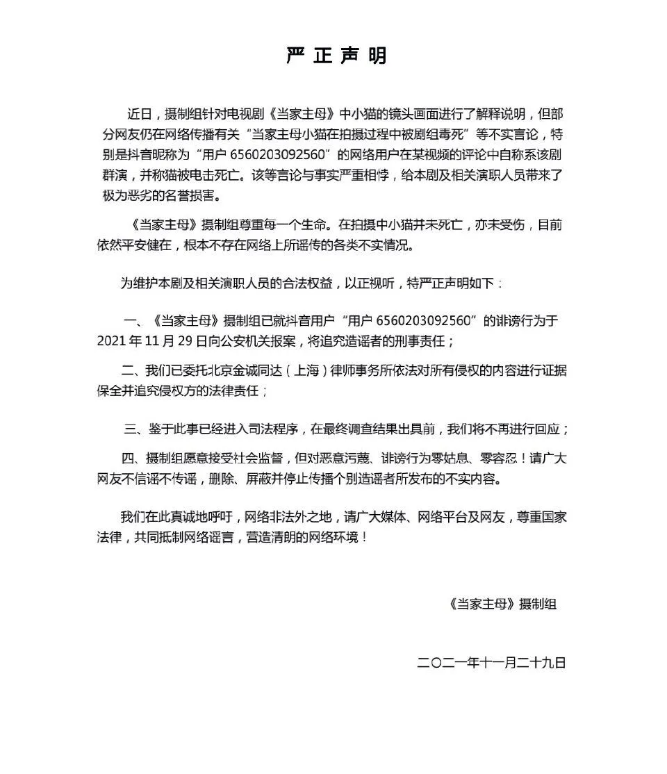 大v调查后反馈:《当家主母》猫咪拍完死了扔了,剧组回应再翻车