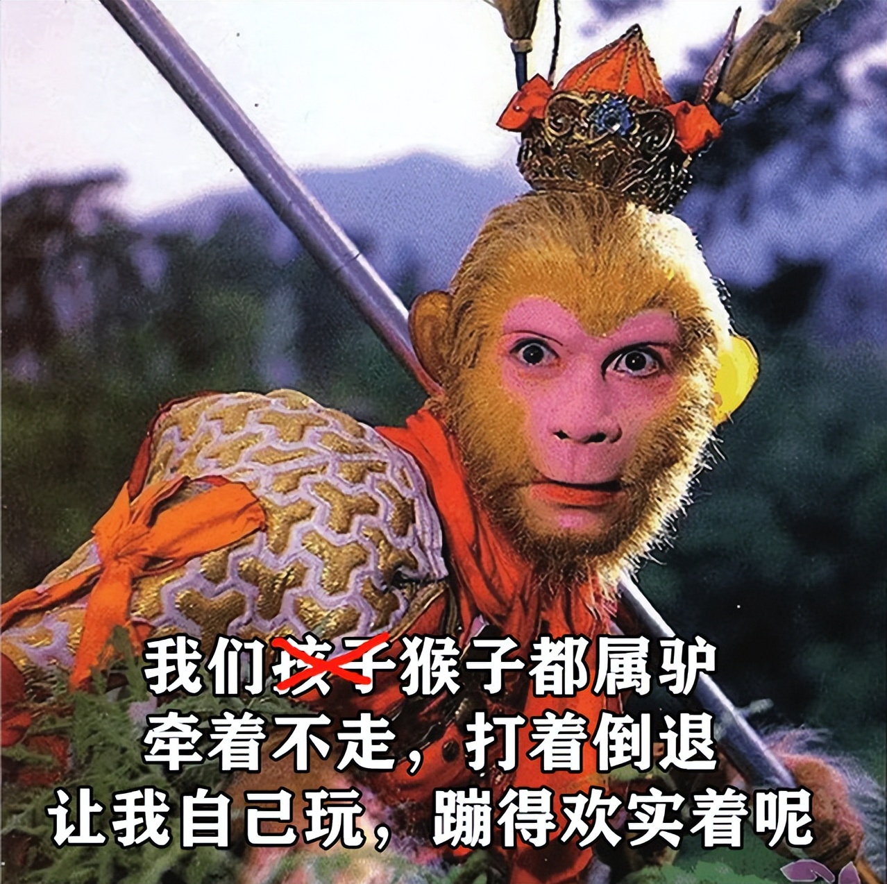 自从把孩子当"孙悟空"养,人生豁然开朗