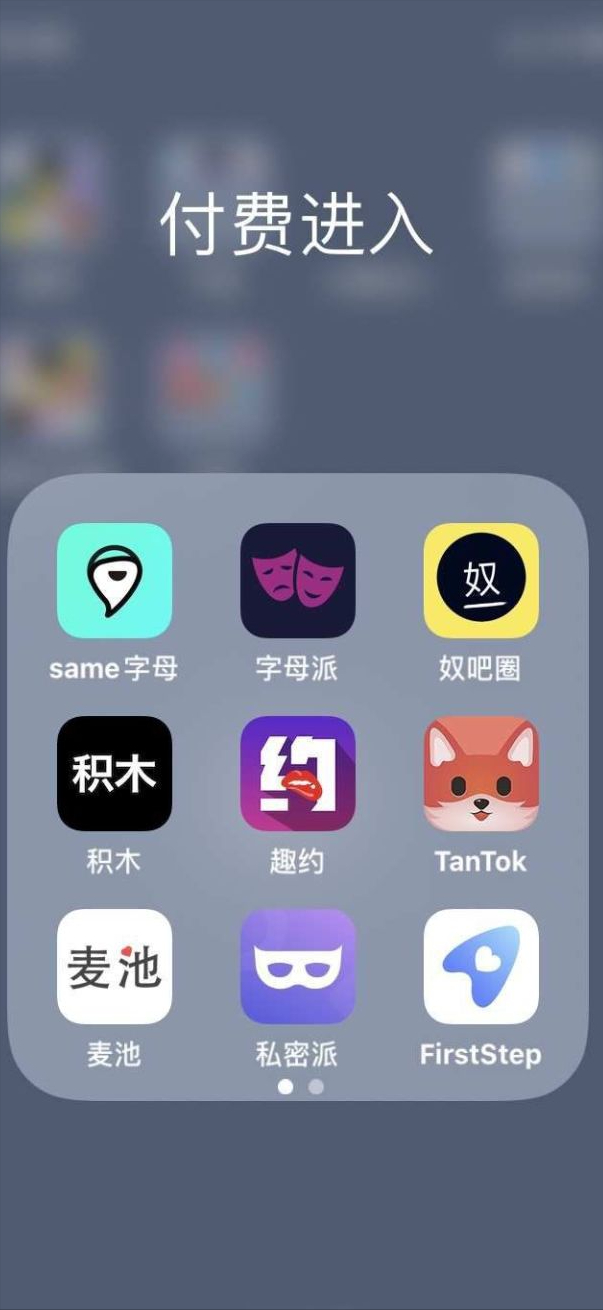 花了半年时间下载了两页APP，我终于摸清了这些社交软件的真面目