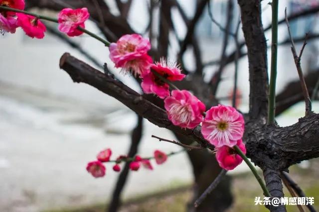 生活不易，且行且珍惜