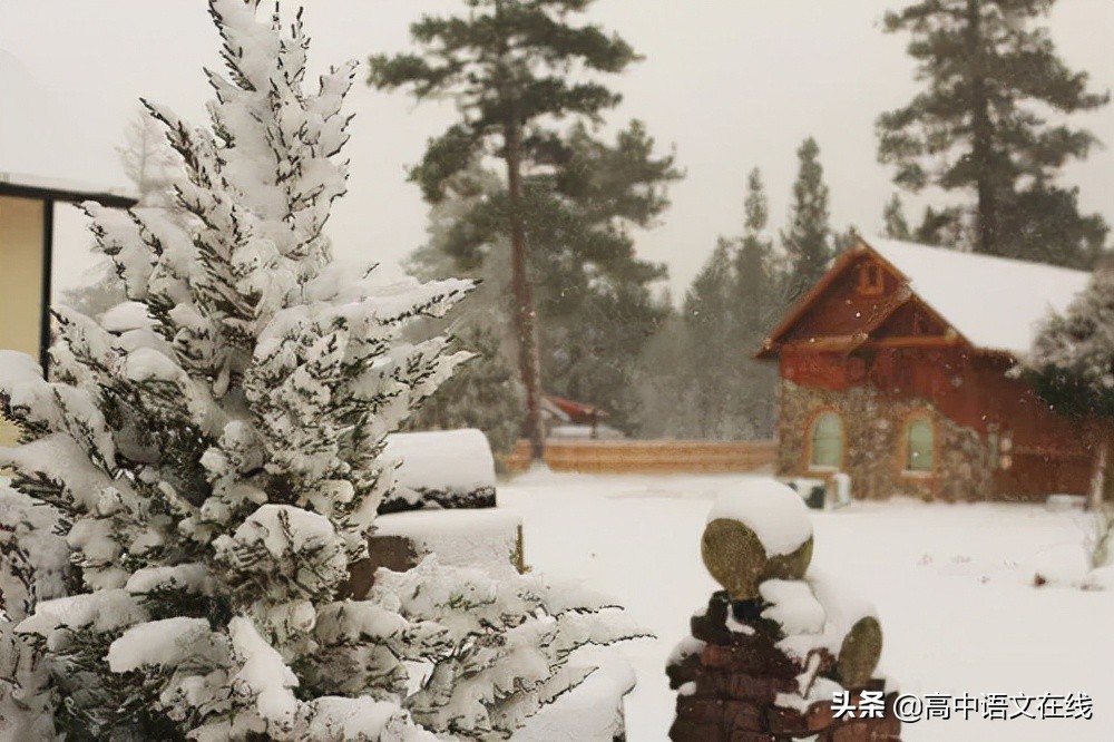 最美古诗词｜时光惊雪，雪落成诗，美到骨子里