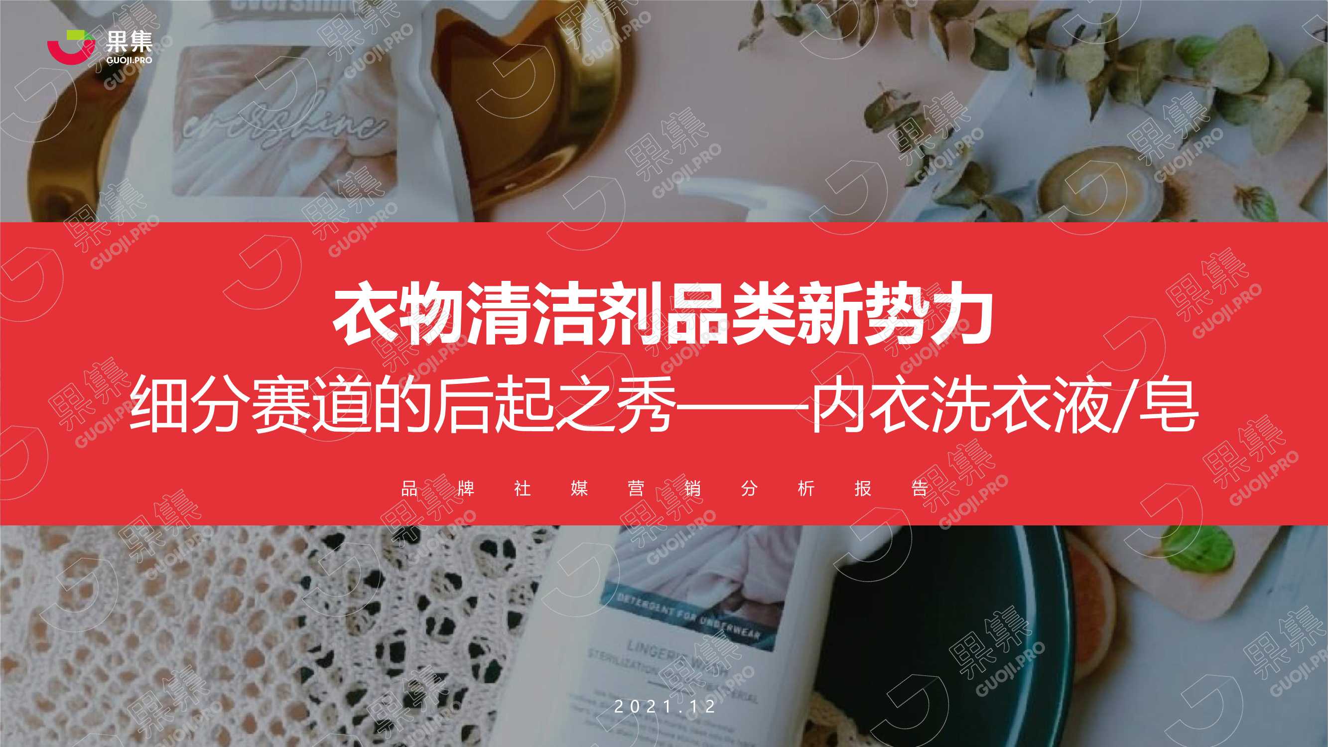 2021年内衣洗衣液皂行业社媒营销分析报告