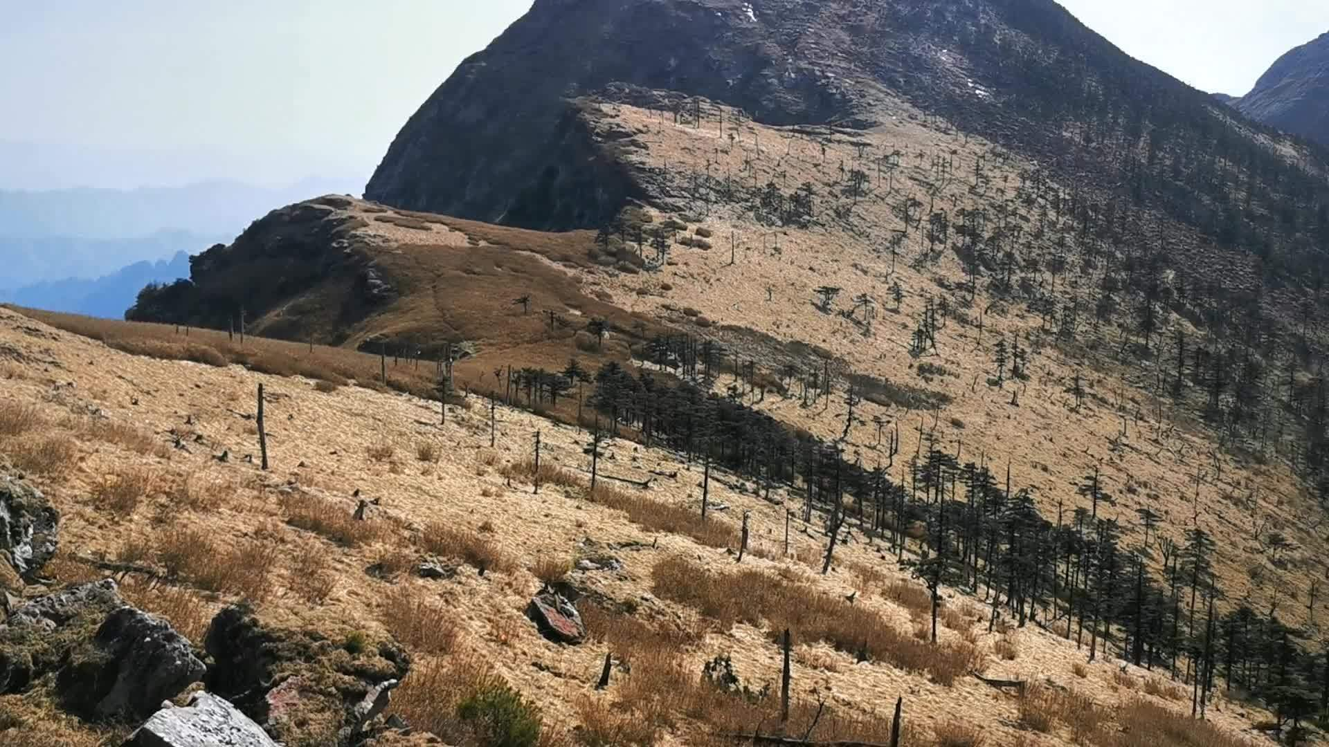 又有驴友擅闯秦岭禁地！95后女诗人遇难，5年死亡46人仍屡禁不止