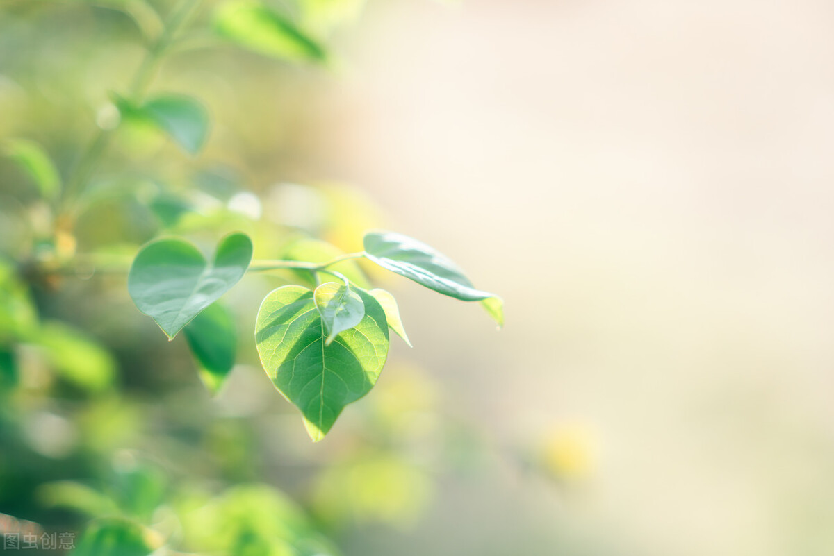 我们都在自欺欺人