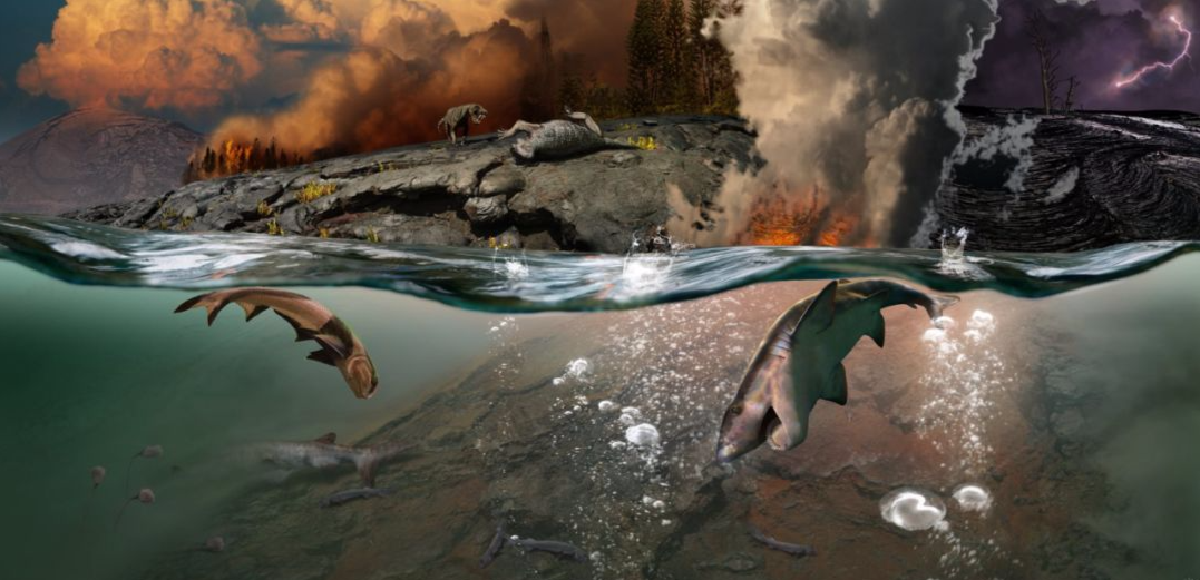 �ϼ������ڻ�����ѧ�ҷ���������Ķ����������ж����أ�