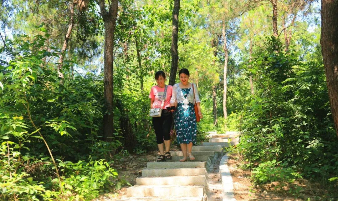 光山县：荷花悄然绽放 迎来最美夏季