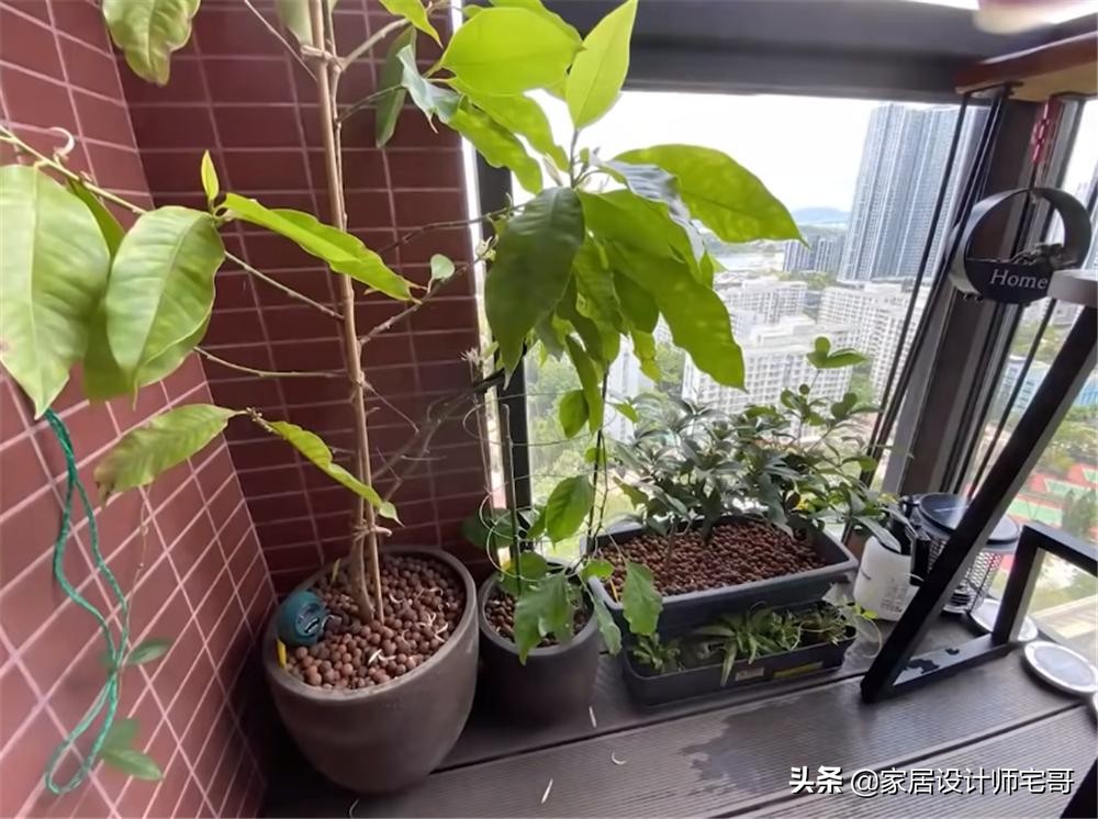 香港30岁的独居青年，买下仅18㎡双阳台“纳米楼”，网友：太小了