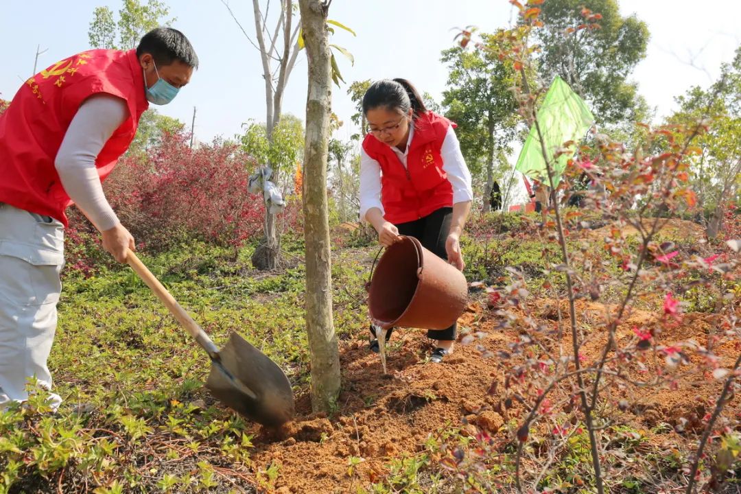 共植一片绿，助力“碳中和”