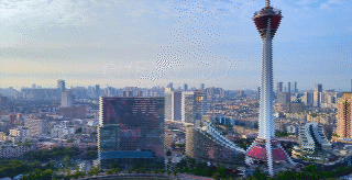 中德制造碰撞的“工业花火”，来看2022成都工博会