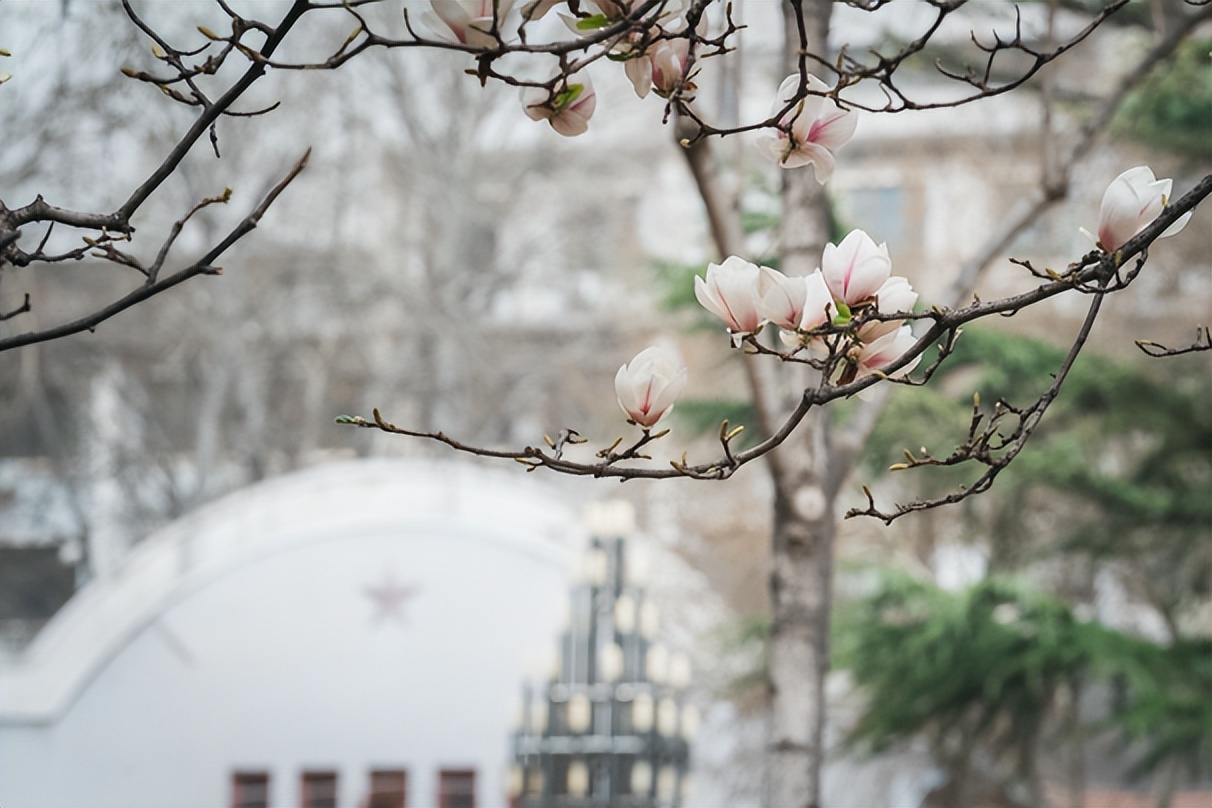 就业满意率、对口率