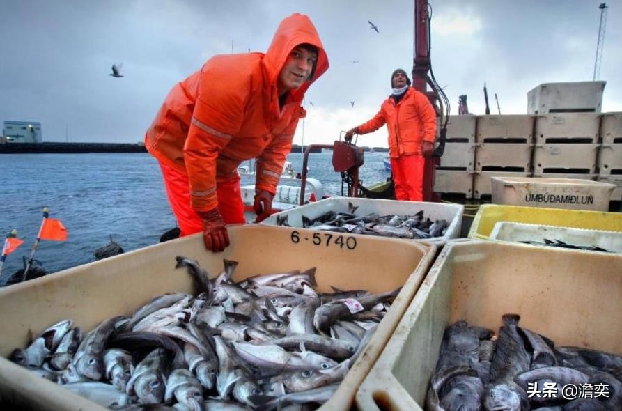 18年世界杯冰岛英格兰(抢鱼引起的战争:英国对战冰岛,还连输三次)